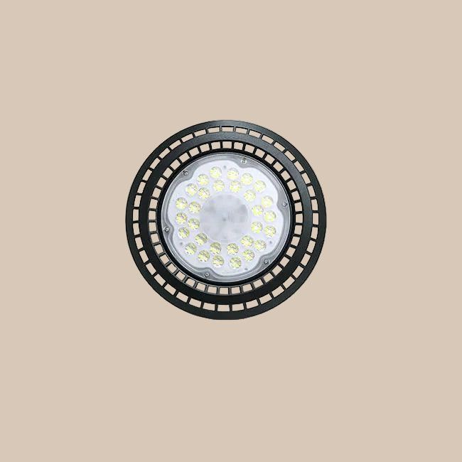 LED ŠVIESTUVAI HIGH BAY ASP 5000K