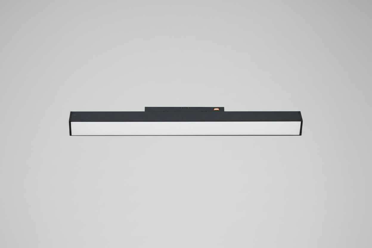 LINIJINIAI ŠVIESTUVAI MAGNETINIUI BEGĖLIUI TAMPA